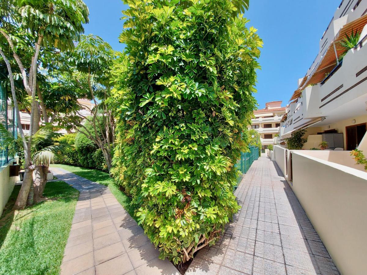 Pool Sunset Apartment Puerto de la Cruz  Exterior photo